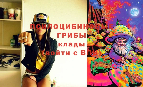 амф Новокубанск