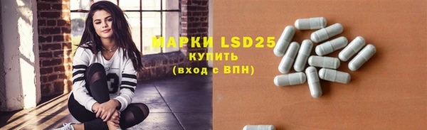 a pvp Новозыбков