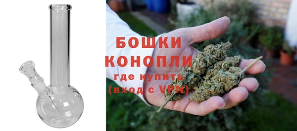 a pvp Новозыбков