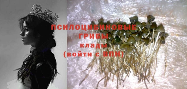 a pvp Новозыбков