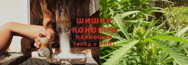 a pvp Новозыбков