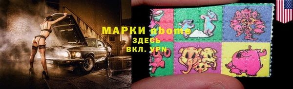 a pvp Новозыбков