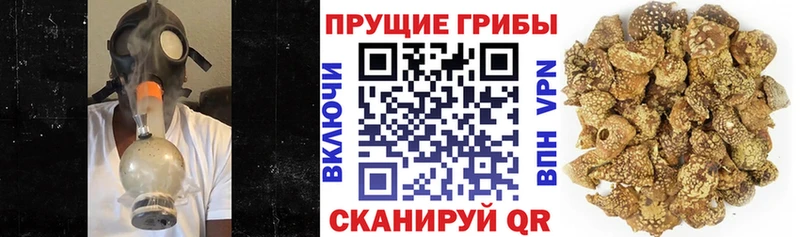 Галлюциногенные грибы Cubensis  наркошоп  Николаевск 